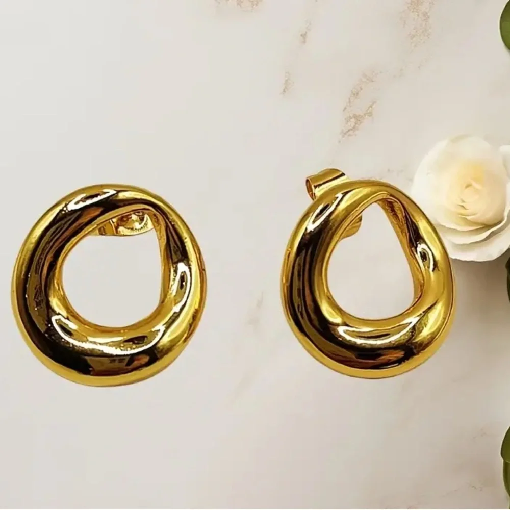 Elegant Gold-Tone Earrings steel